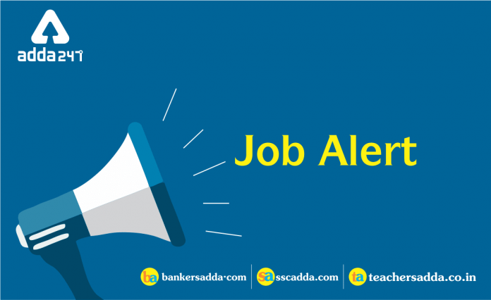 Job Alert sa