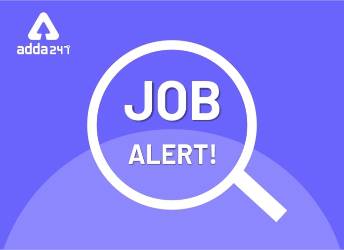 Job-Alert-696x505-1