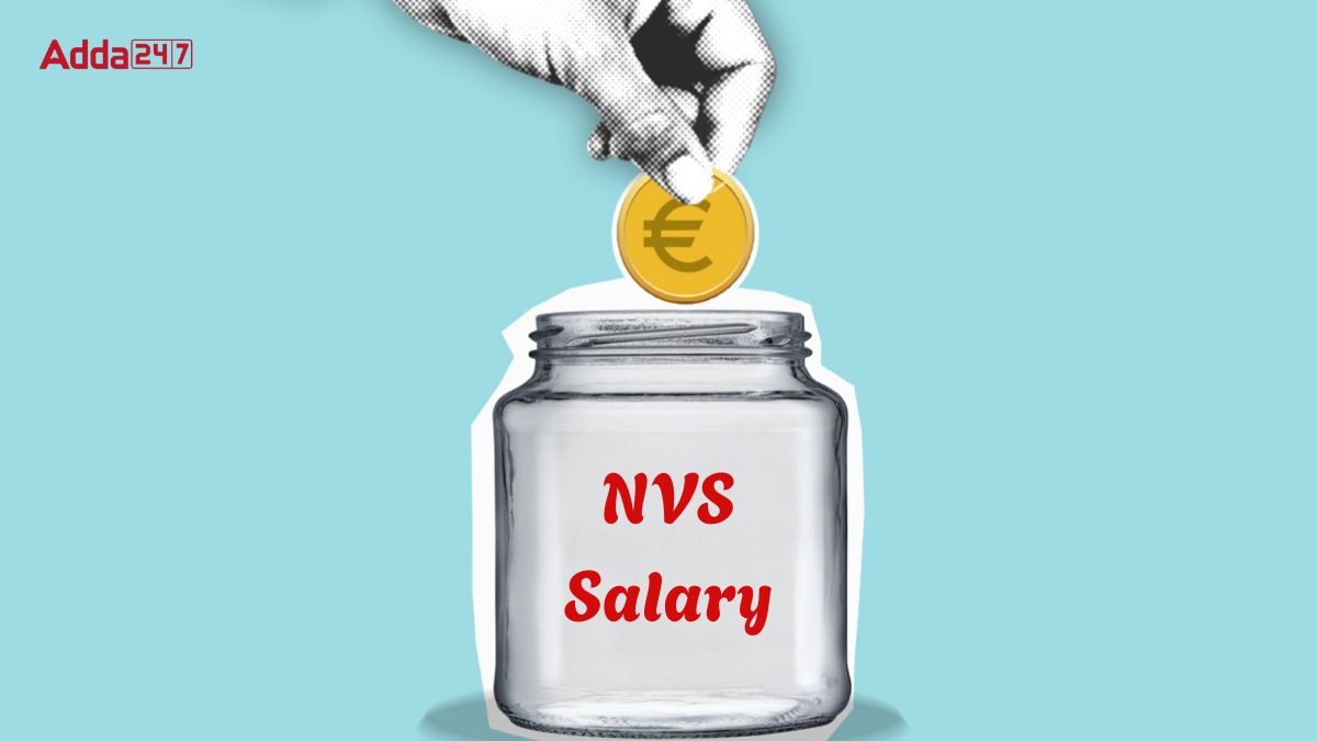 NVS Salary
