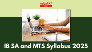 IB SA and MTS Syllabus 2025
